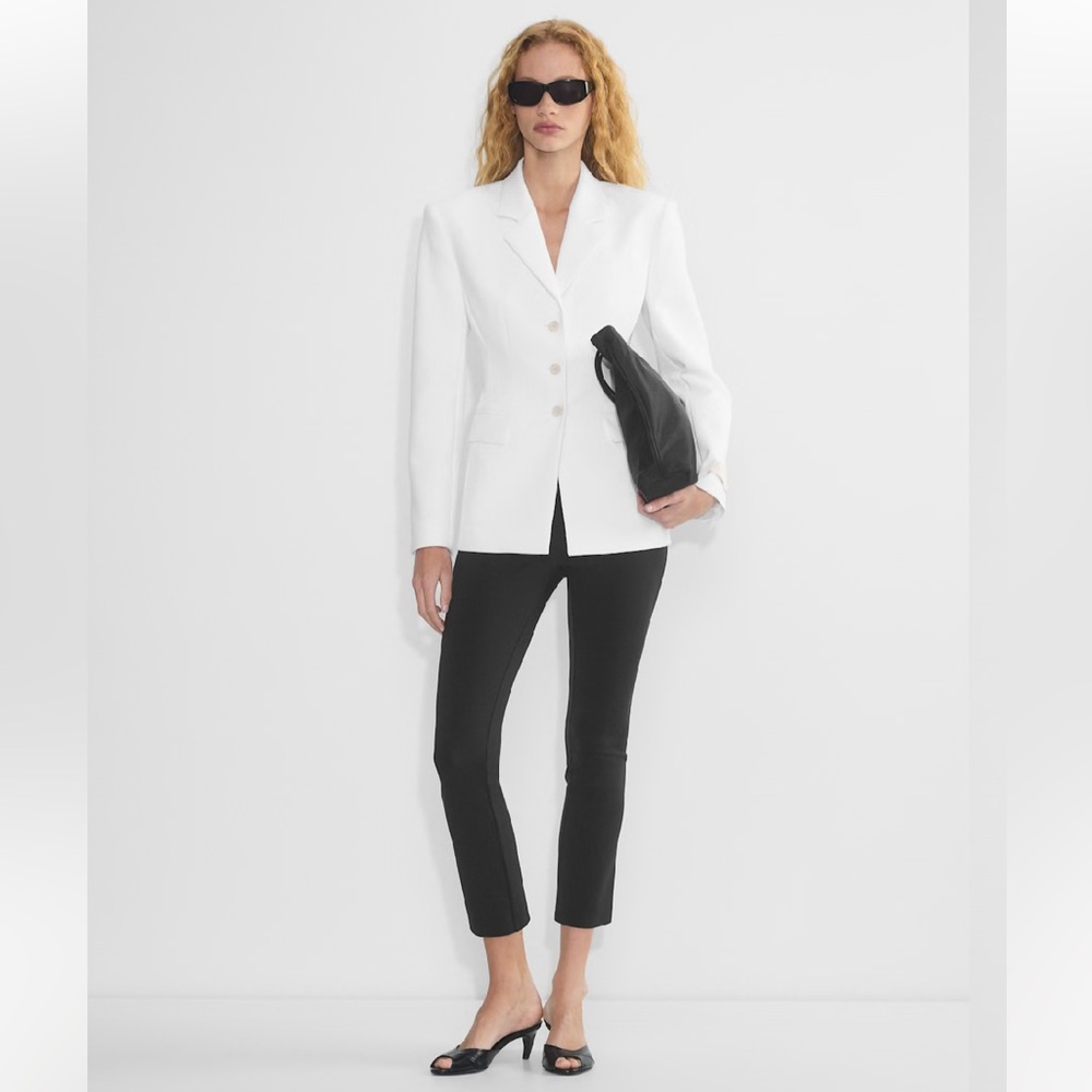 Aritzia Babaton Standout Blazer